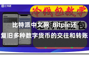 比特派中文网  Bitpie还复旧多种数字货币的交往和转账