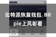 比特派恢复钱包  Bitpie上风彰着