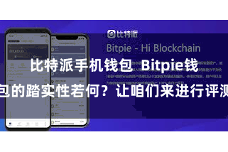 比特派手机钱包  Bitpie钱包的踏实性若何？让咱们来进行评测