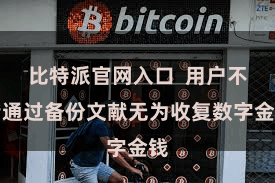 比特派官网入口  用户不错通过备份文献无为收复数字金钱