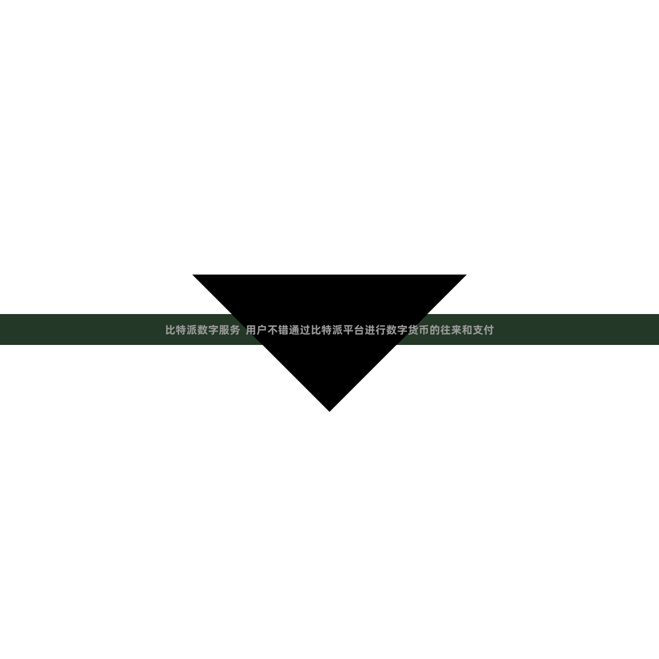 比特派数字服务  用户不错通过比特派平台进行数字货币的往来和支付
